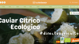 citricos ecologicos