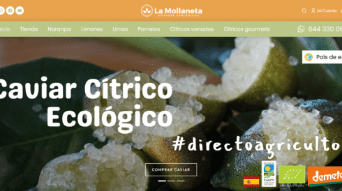 citricos ecologicos