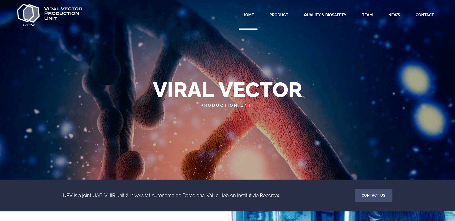 viral vector